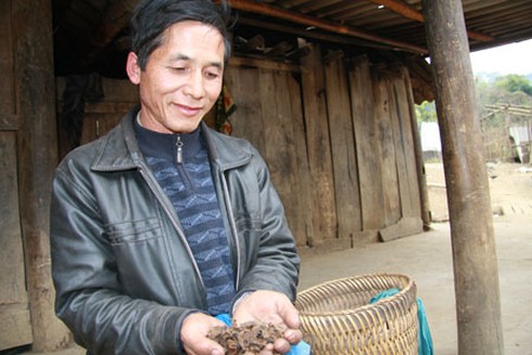 Biệt dược phòng the miền sơn cước