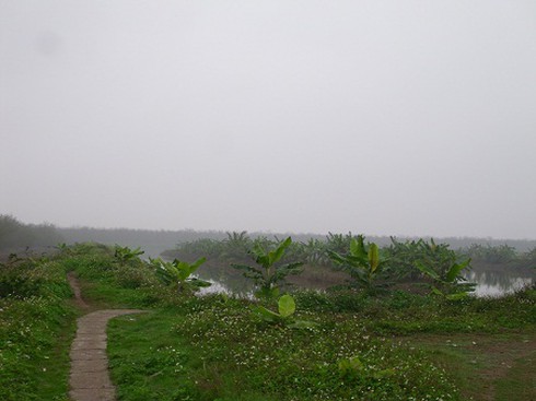 Vụ Tiên Lãng: Kết luận thanh tra, chỉ đọc chứ không giao?