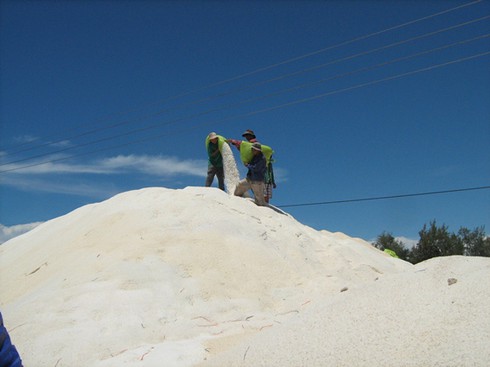 Trà Vinh: Mưa trái mùa diêm dân mất tiền tỷ