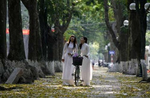 Việt Nam trong `mắt` Reuters