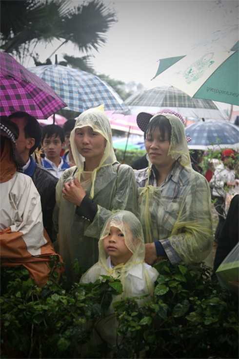 Đội mưa đi lễ đền Hùng