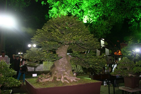 Sẵn sàng cho Festival Huế 2012