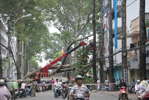 Bão Pakhar càn quét ngoài sức tưởng tượng