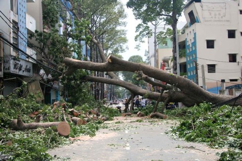 Bão Pakhar càn quét ngoài sức tưởng tượng