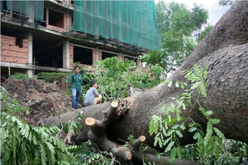 Bão Pakhar càn quét ngoài sức tưởng tượng
