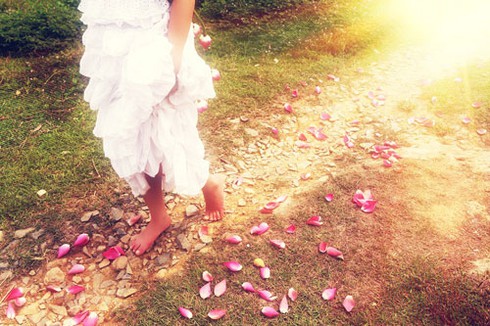 Hồng Mơ khoe sắc bên hoa