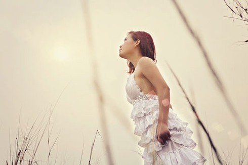 Hồng Mơ khoe sắc bên hoa