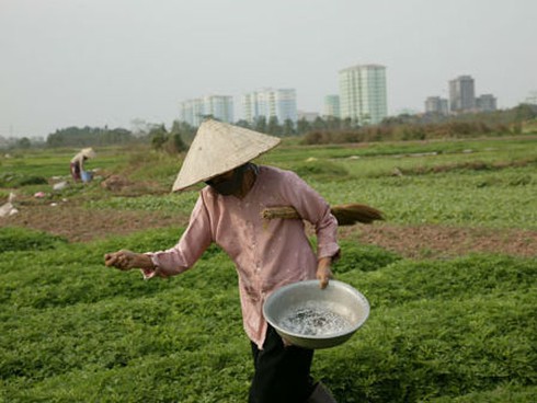 Chỉ 5% dân số có tiền mua nhà