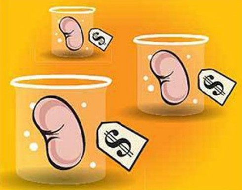 Trung Quốc: bán thận mua iPhone