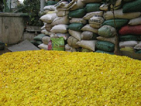 Rùng mình ống hút, hộp thực phẩm từ rác thải