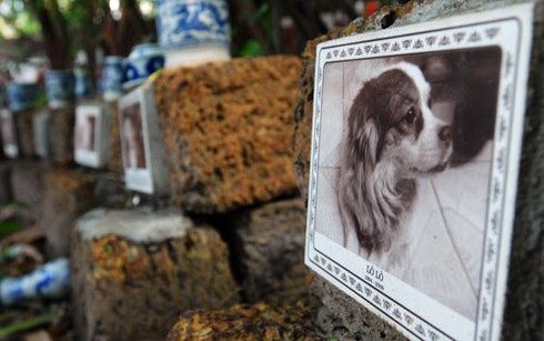 Rờn rợn thăm nghĩa trang chó mèo độc nhất Hà Nội