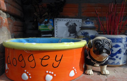 Rờn rợn thăm nghĩa trang chó mèo độc nhất Hà Nội