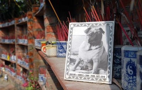 Rờn rợn thăm nghĩa trang chó mèo độc nhất Hà Nội