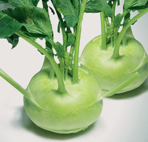 5 loại rau quả tốt nhất trong tháng 4