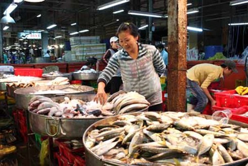 Vụ cá nhiễm chất cấm: Sẽ siết chặt đầu vào