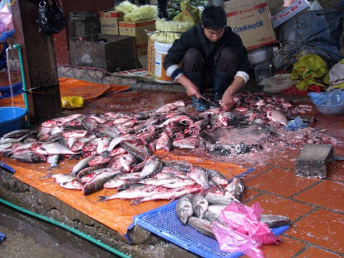 Dính chất cấm vì thủy sản dùng thuốc bán rong