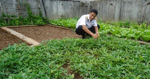 Mầm sống trên quần đảo Trường Sa