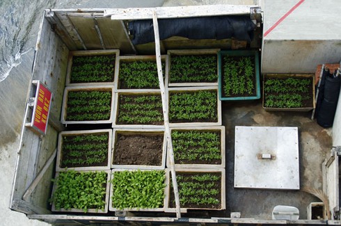 “Đặc sản” ở Trường Sa