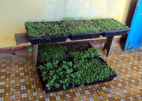 “Đặc sản” ở Trường Sa