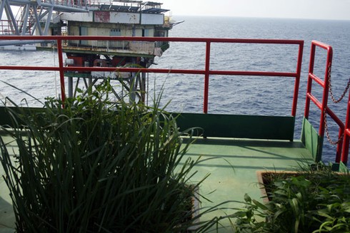 “Đặc sản” ở Trường Sa