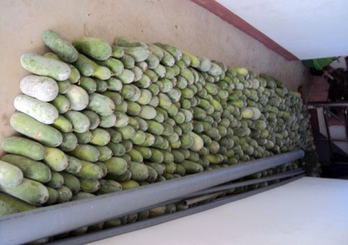 “Đặc sản” ở Trường Sa