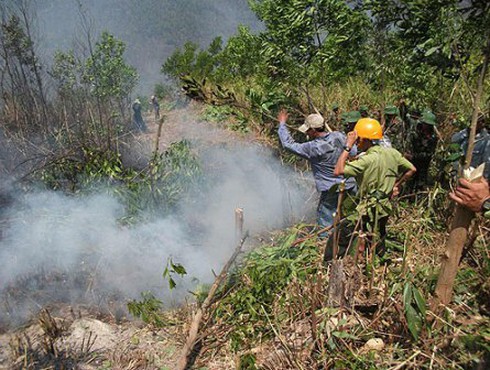 Nguy cơ cháy rừng phía Nam cực kỳ nguy hiểm