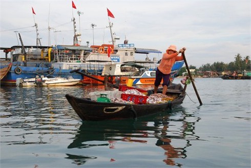 Cuộc sống sôi động ở cảng cá Kỳ Hà