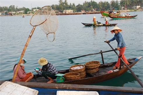Cuộc sống sôi động ở cảng cá Kỳ Hà