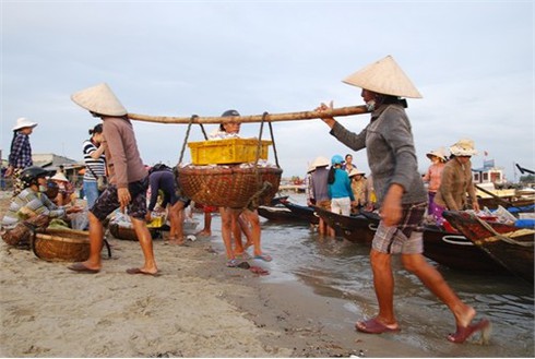 Cuộc sống sôi động ở cảng cá Kỳ Hà
