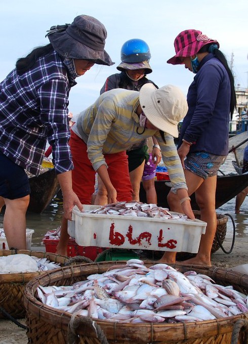 Cuộc sống sôi động ở cảng cá Kỳ Hà