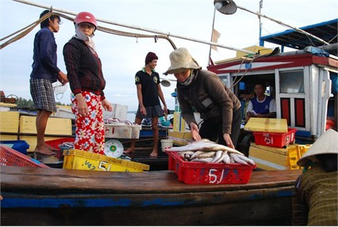 Cuộc sống sôi động ở cảng cá Kỳ Hà