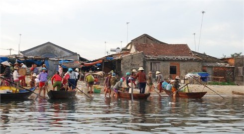 Cuộc sống sôi động ở cảng cá Kỳ Hà