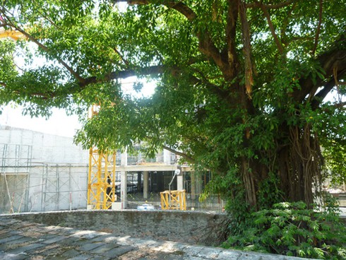 `Bóng đè` trên di tích thành Điện Hải