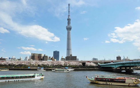 Xem cảnh hoành tráng của tòa tháp Tokyo Sky Tree