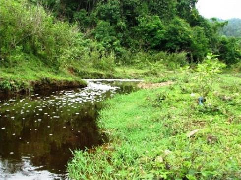 Tuyên Quang: Sông Gâm bị “đầu độc” bởi ô nhiễm