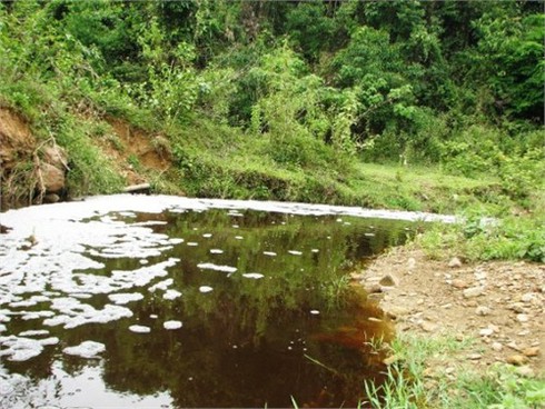 Tuyên Quang: Sông Gâm bị “đầu độc” bởi ô nhiễm