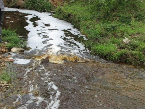 Tuyên Quang: Sông Gâm bị “đầu độc” bởi ô nhiễm