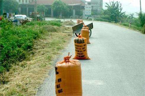 Rơm, thóc `chặn xe` vào Bích Động