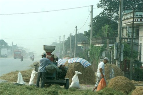 Rơm, thóc `chặn xe` vào Bích Động