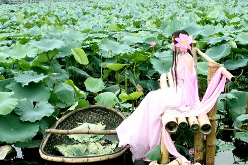 Mỹ nhân cosplay Việt cổ trang giữa sen Hồ Tây