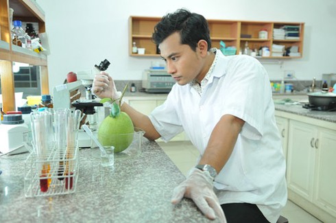 Phim Việt đổi khẩu vị với đề tài nông thôn, miệt vườn