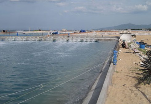 Đề nghị phạt 400 triệu đồng Trung đoàn Không quân 910