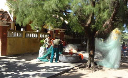 Sao vuông canh biển trời Tổ quốc