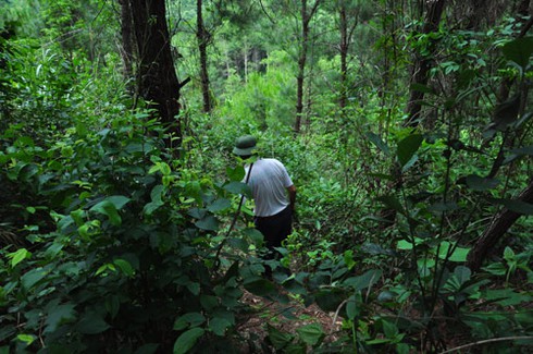 Hòn đá thề và kho báu chôn vàng ở Cao Bằng