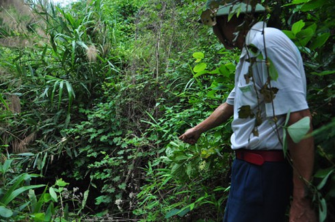 Hòn đá thề và kho báu chôn vàng ở Cao Bằng