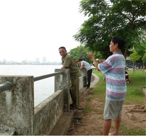 Tấp nập đi câu trộm cá Hồ Tây