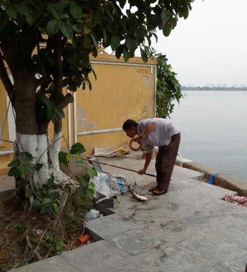 Tấp nập đi câu trộm cá Hồ Tây