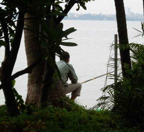 Tấp nập đi câu trộm cá Hồ Tây