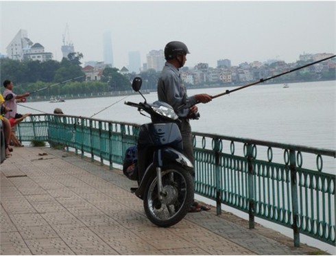 Tấp nập đi câu trộm cá Hồ Tây