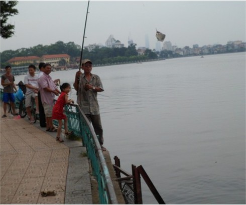 Tấp nập đi câu trộm cá Hồ Tây